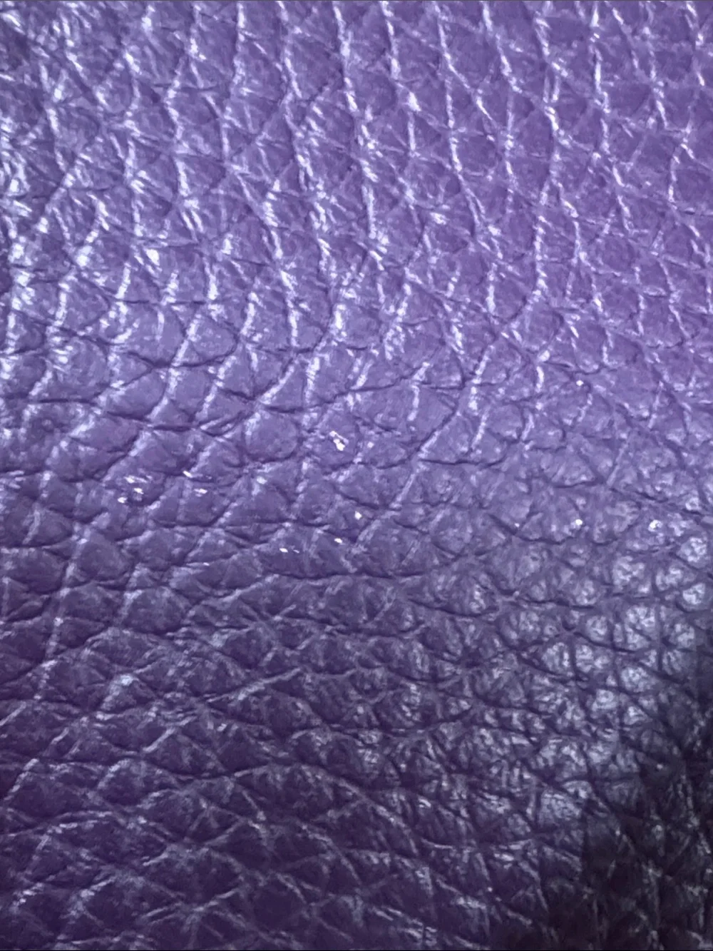 Dooney & Bourke structured pebbled